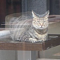 20091119 039.jpg