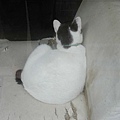 20091119 045.jpg