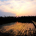 P1090475.JPG