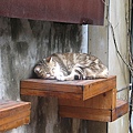 20091119 041.jpg