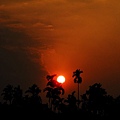 DSCN0749.JPG