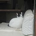 20091119 040.jpg