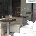 20091119 038.jpg