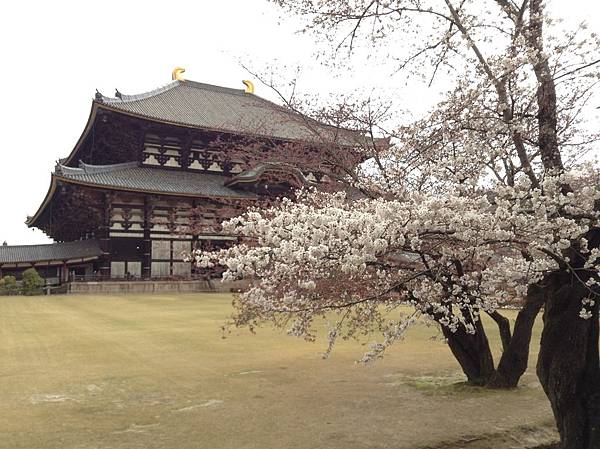 IMG_1847.JPG IMG_1847.JPG