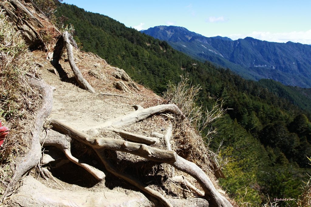 【百岳】合歡北峰~鷹石尖+北峰名樹+合歡北峰小嘉明湖 〖合歡