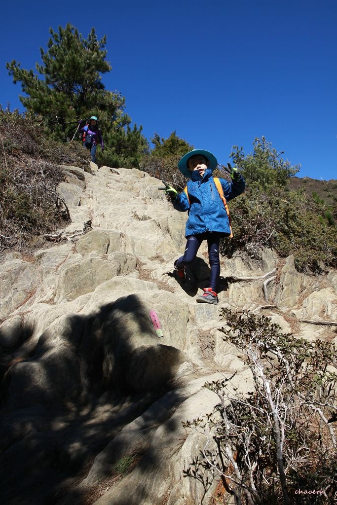 【百岳】合歡北峰~鷹石尖+北峰名樹+合歡北峰小嘉明湖 〖合歡