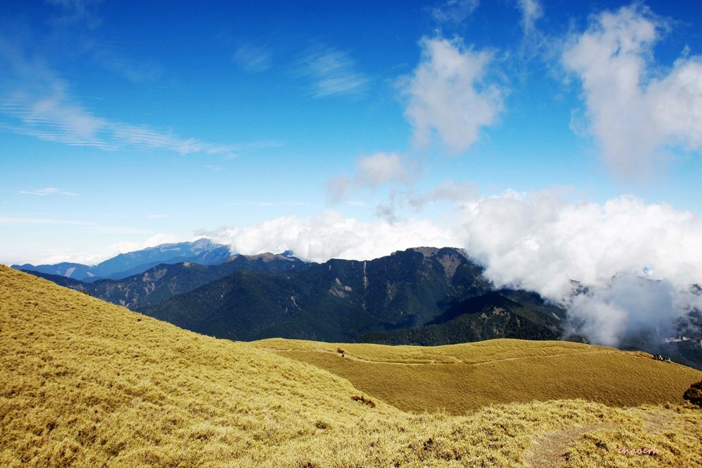 【百岳】合歡北峰~鷹石尖+北峰名樹+合歡北峰小嘉明湖 〖合歡