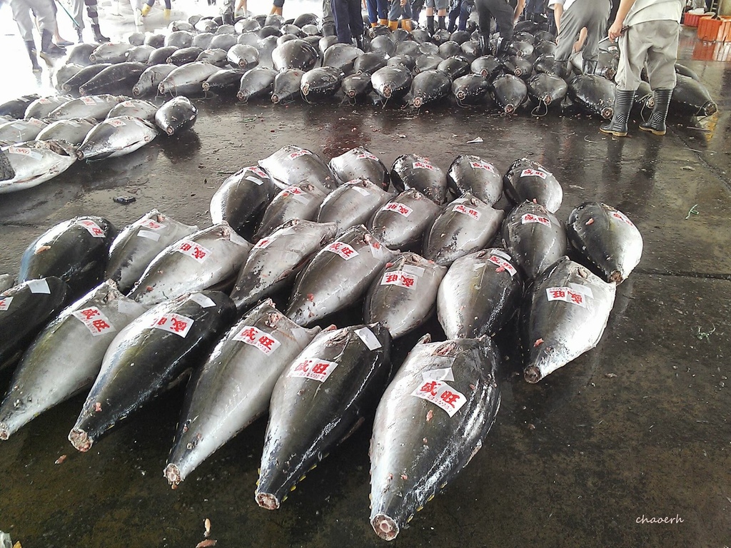 屏東東港-福海海景餐廳•福海鮮代客料理(華僑市場) 屏東東港-福海海景餐廳•福海鮮代客料理(華僑市場)
