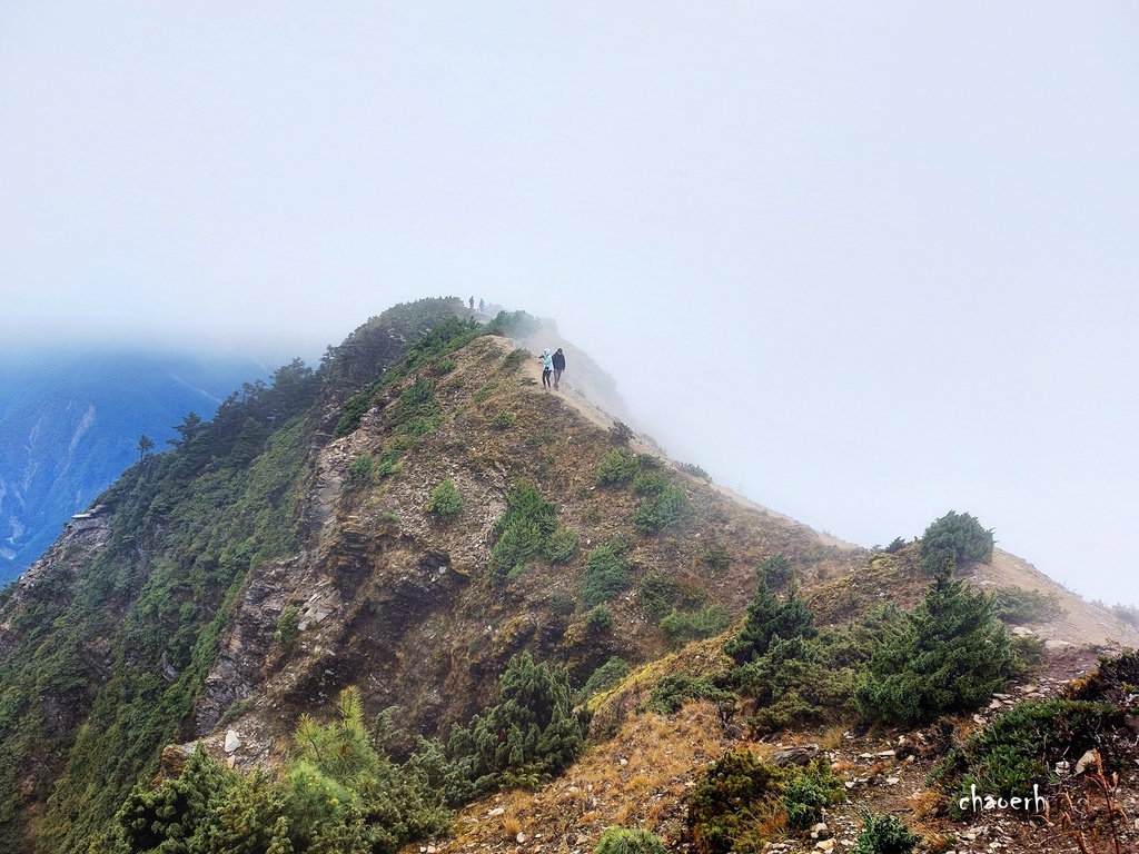 【百岳】南橫-塔關山《4Y9M兒子首座百岳~全程自己爬》