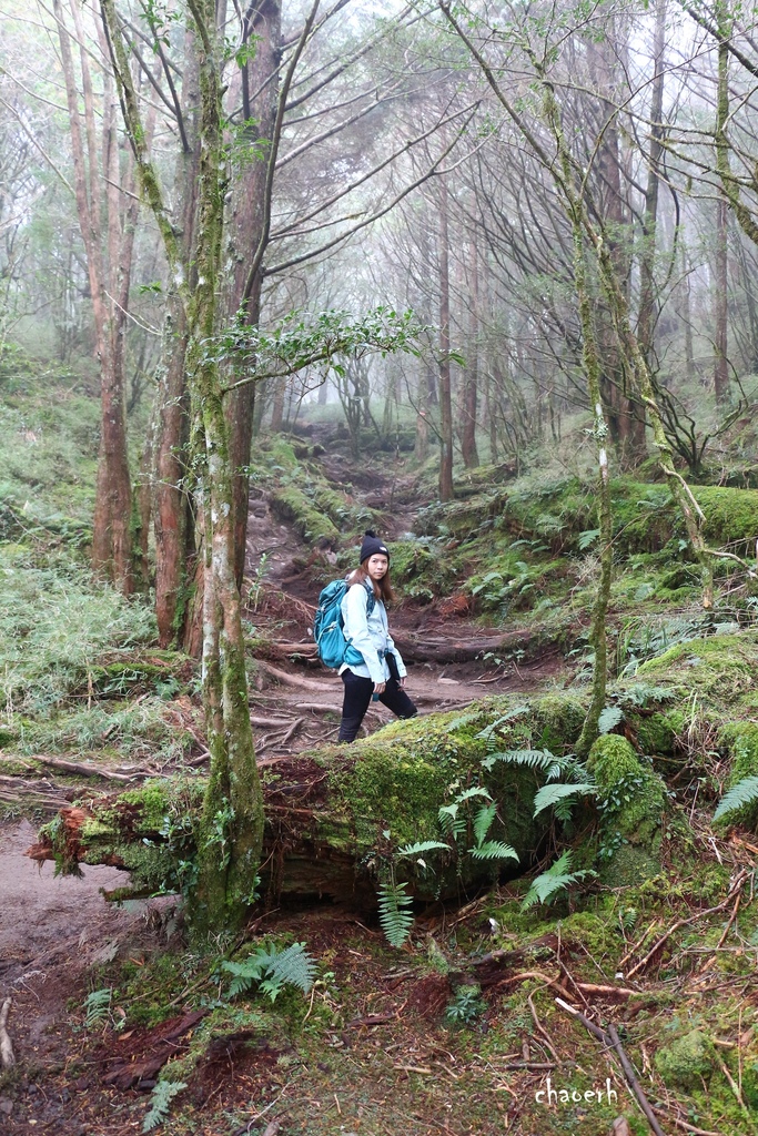 【百岳】南橫-塔關山《4Y9M兒子首座百岳~全程自己爬》