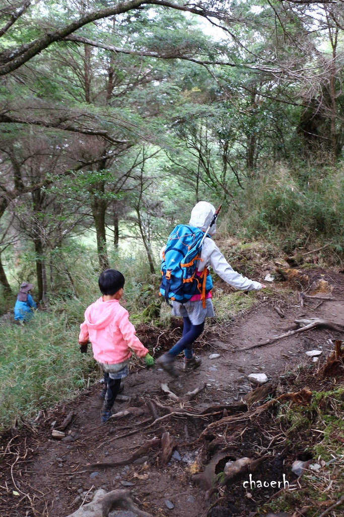 【百岳】南橫-塔關山《4Y9M兒子首座百岳~全程自己爬》