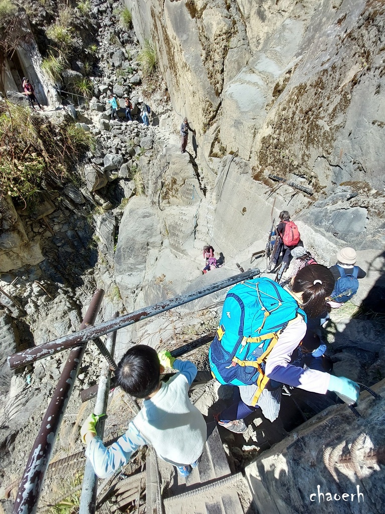 【健行】阿里山眠月線 森林鐵道