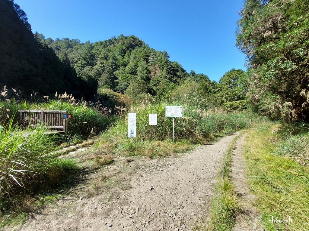 【健行】阿里山眠月線 森林鐵道