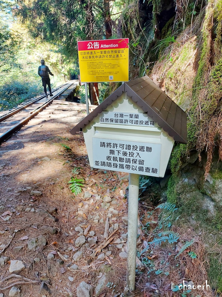 【健行】阿里山眠月線 森林鐵道