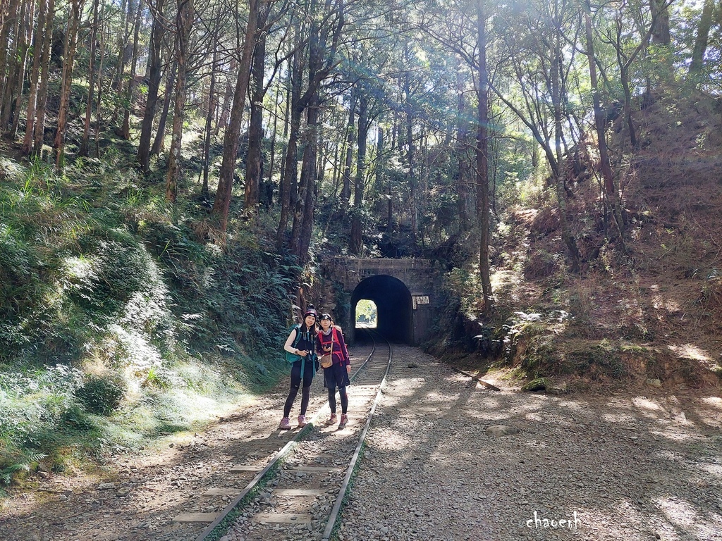 【健行】阿里山眠月線 森林鐵道