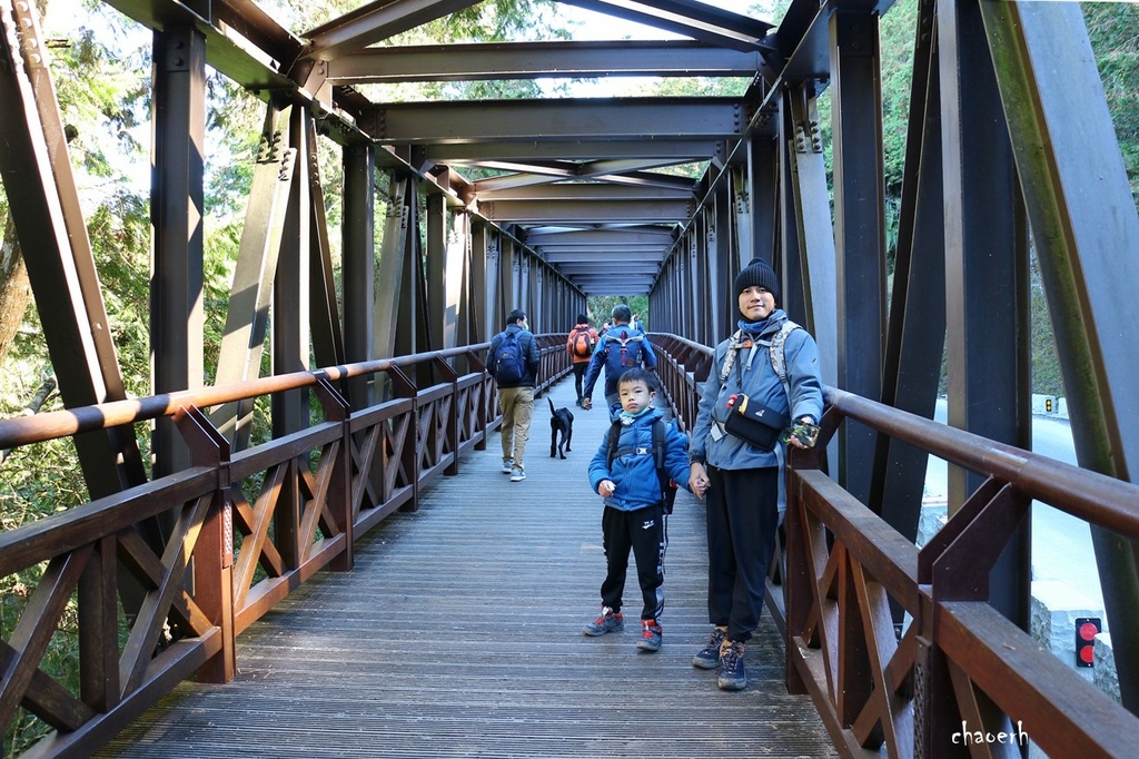 【健行】阿里山眠月線 森林鐵道