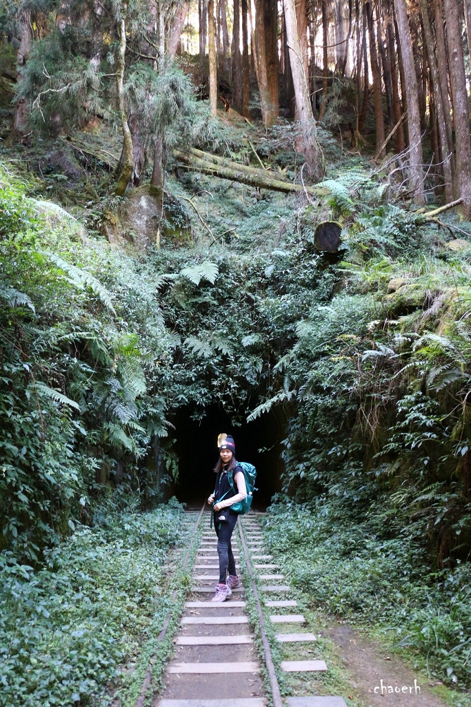 【健行】阿里山眠月線 森林鐵道