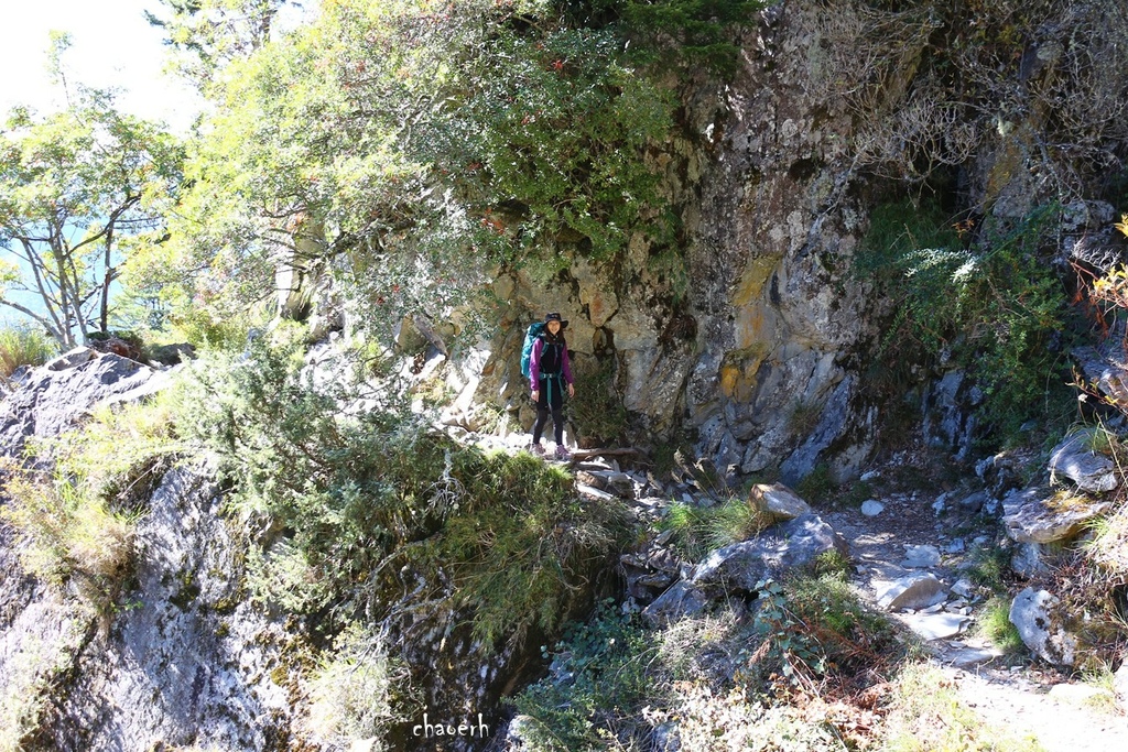 【百岳】玉山主峰 兩天一夜《第2次攻玉山的小6女兒陪我圓夢》