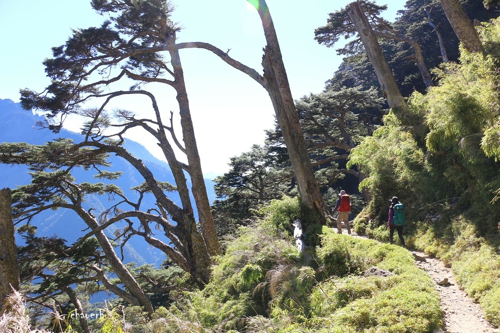 【百岳】玉山主峰 兩天一夜《第2次攻玉山的小6女兒陪我圓夢》