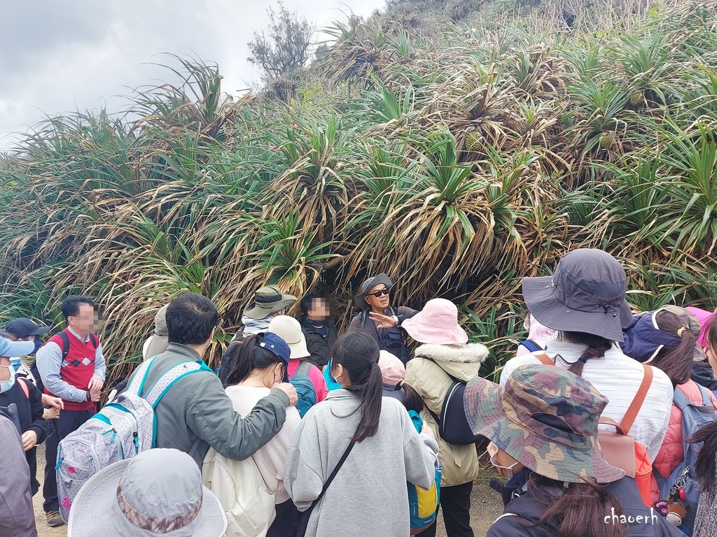 【健行】屏東阿朗壹古道《海岸原始森林 最美海岸線 》