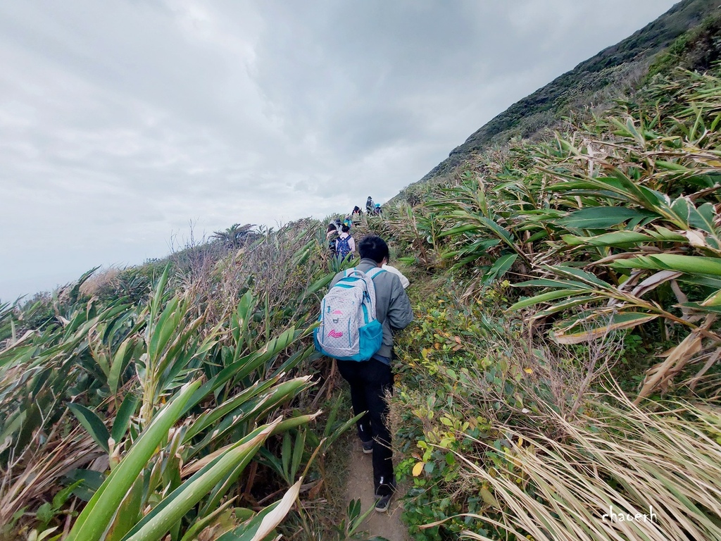 【健行】屏東阿朗壹古道《海岸原始森林 最美海岸線 》