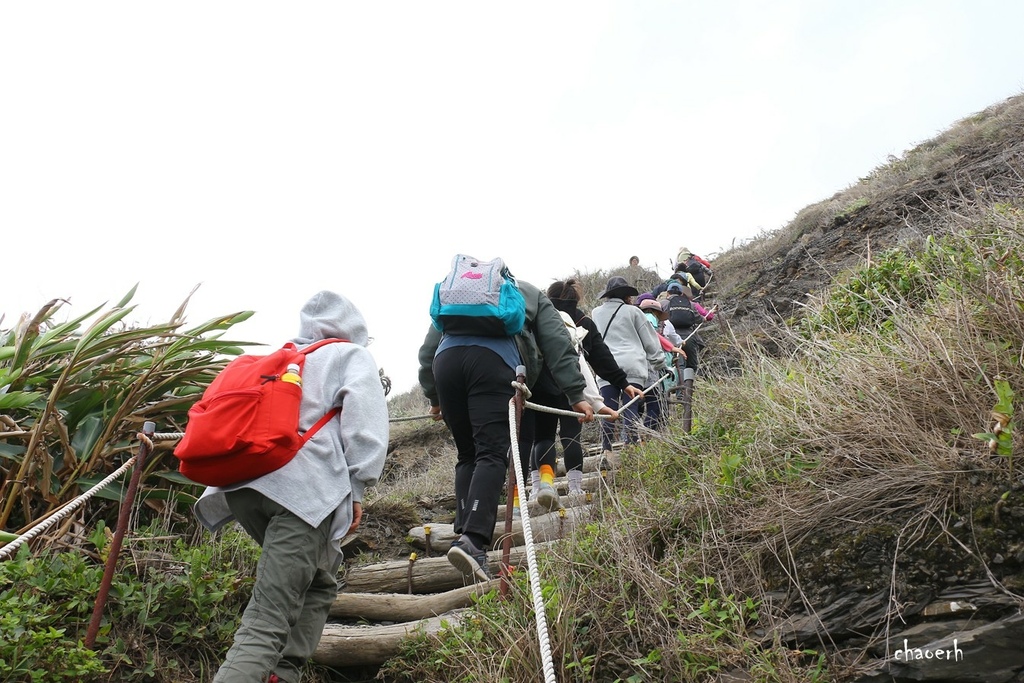 【健行】屏東阿朗壹古道《海岸原始森林 最美海岸線 》