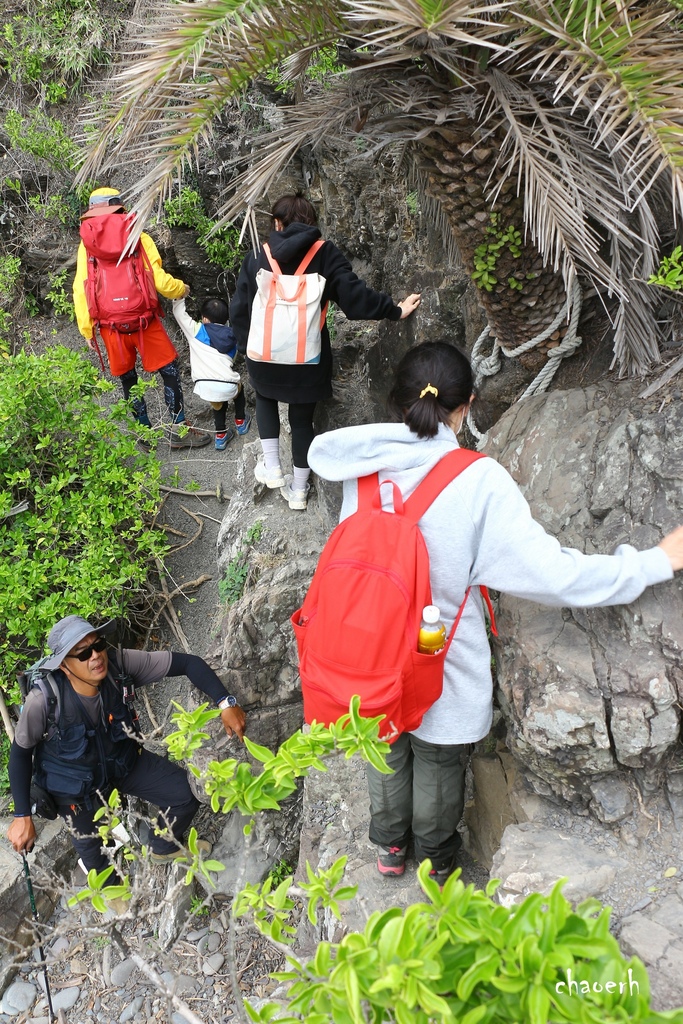 【健行】屏東阿朗壹古道《海岸原始森林 最美海岸線 》