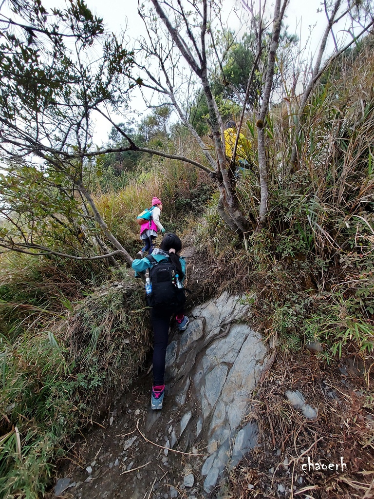 【百岳】南橫-關山嶺山 全家出動《3位小隊友~5Y2M小兒子