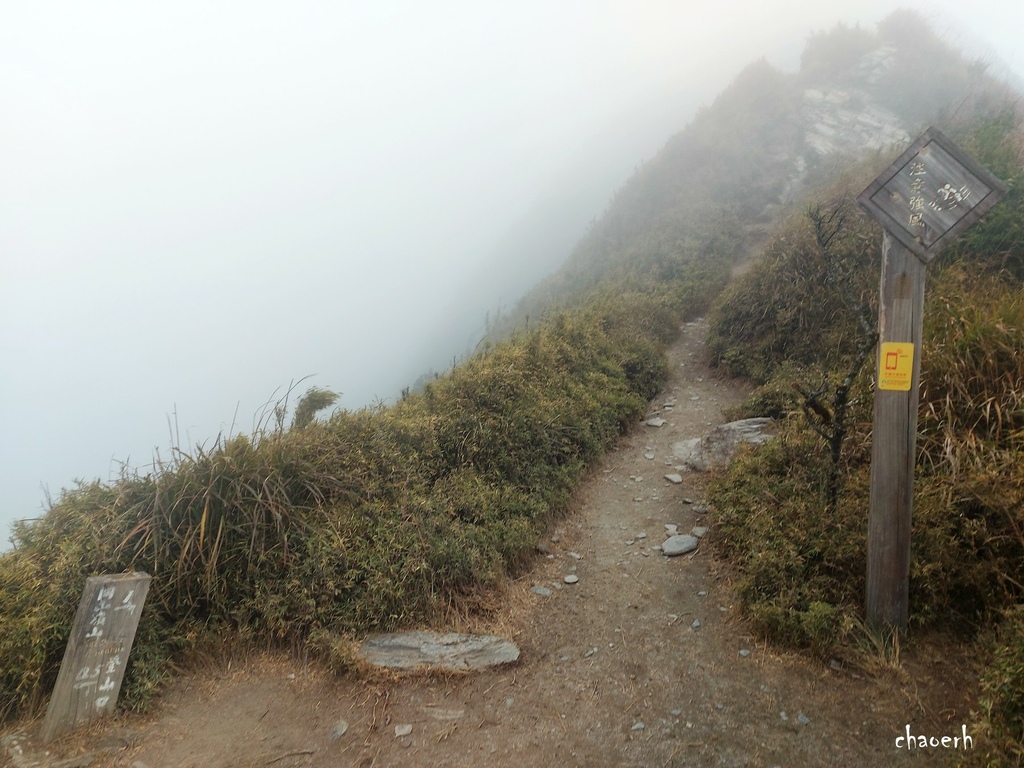 【百岳】南橫-關山嶺山 全家出動《3位小隊友~5Y2M小兒子