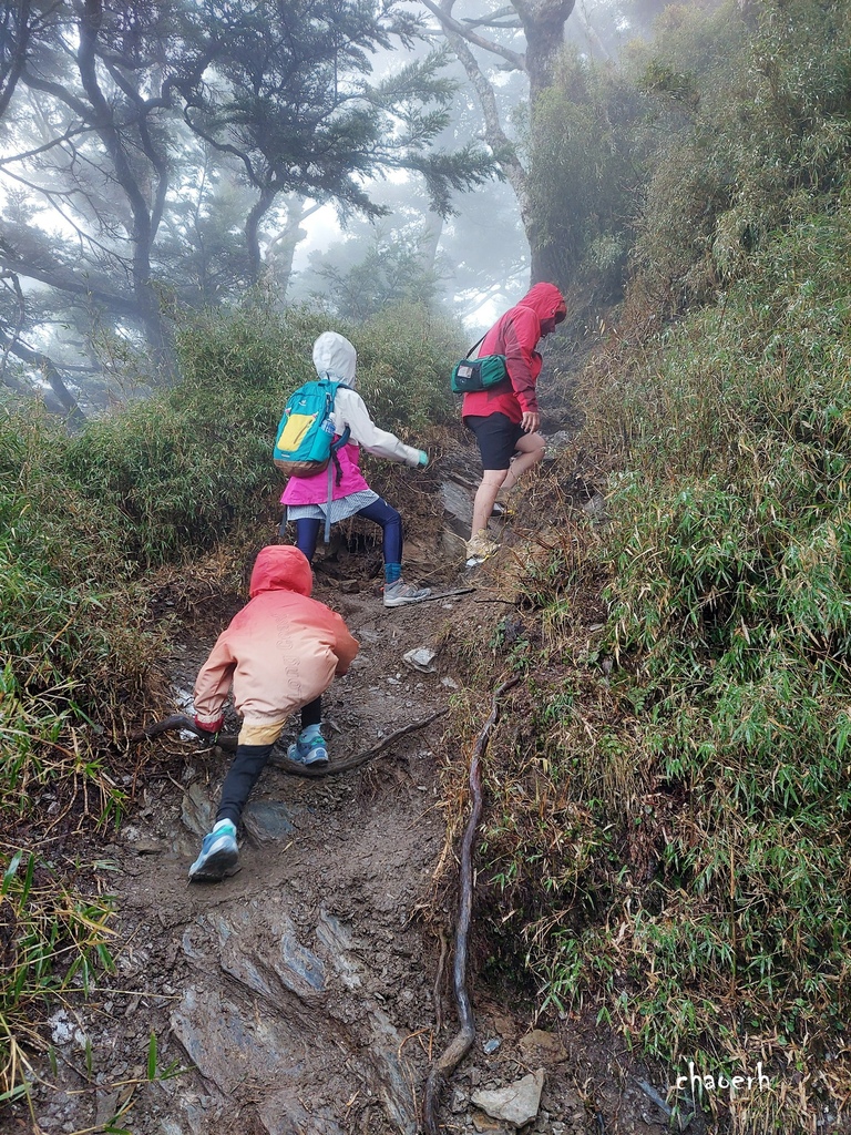 【百岳】南橫-關山嶺山 全家出動《3位小隊友~5Y2M小兒子