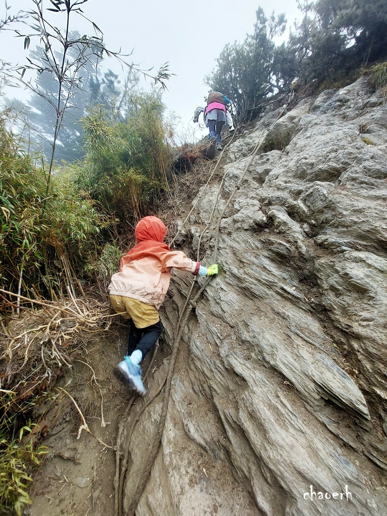 【百岳】南橫-關山嶺山 全家出動《3位小隊友~5Y2M小兒子