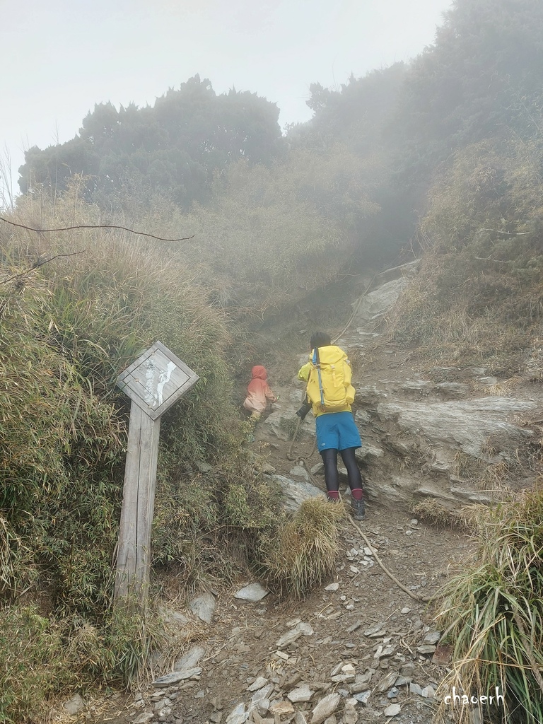 【百岳】南橫-關山嶺山 全家出動《3位小隊友~5Y2M小兒子