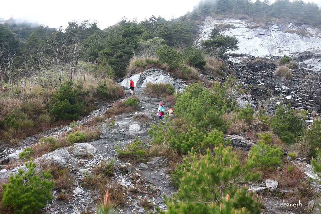 【百岳】南橫-關山嶺山 全家出動《3位小隊友~5Y2M小兒子