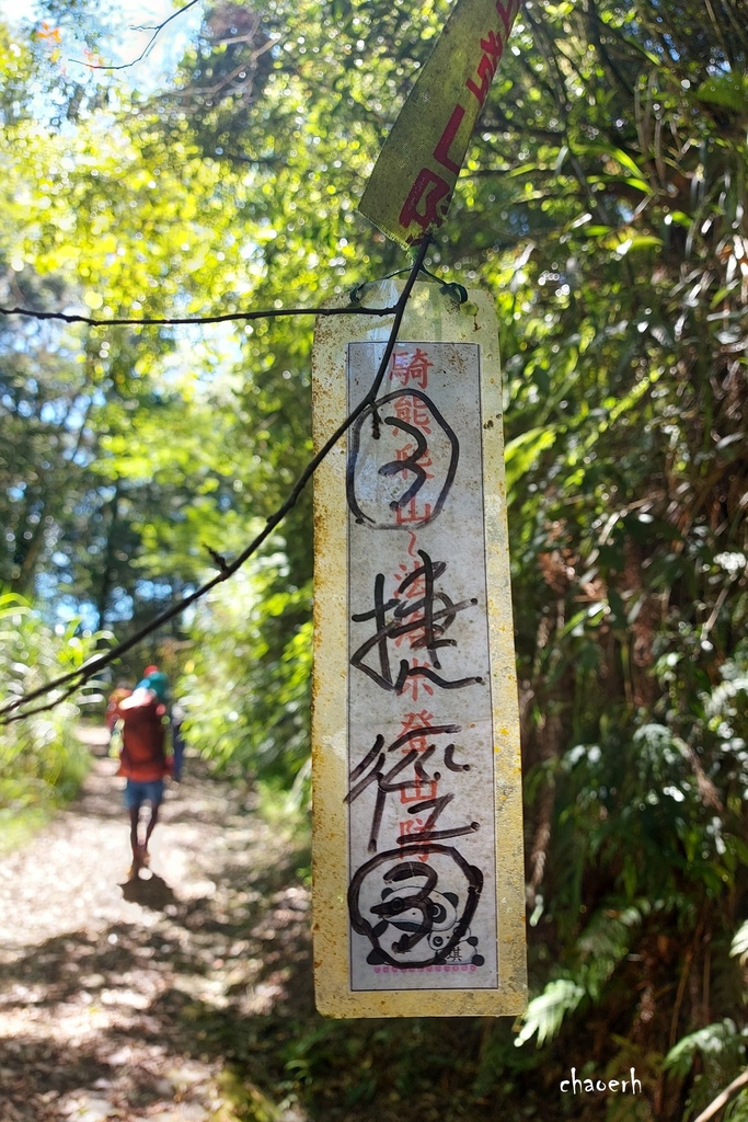 【登山 2天1夜】水漾森林➨鹿屈山➨鹿屈山前鋒  逆向O行縱