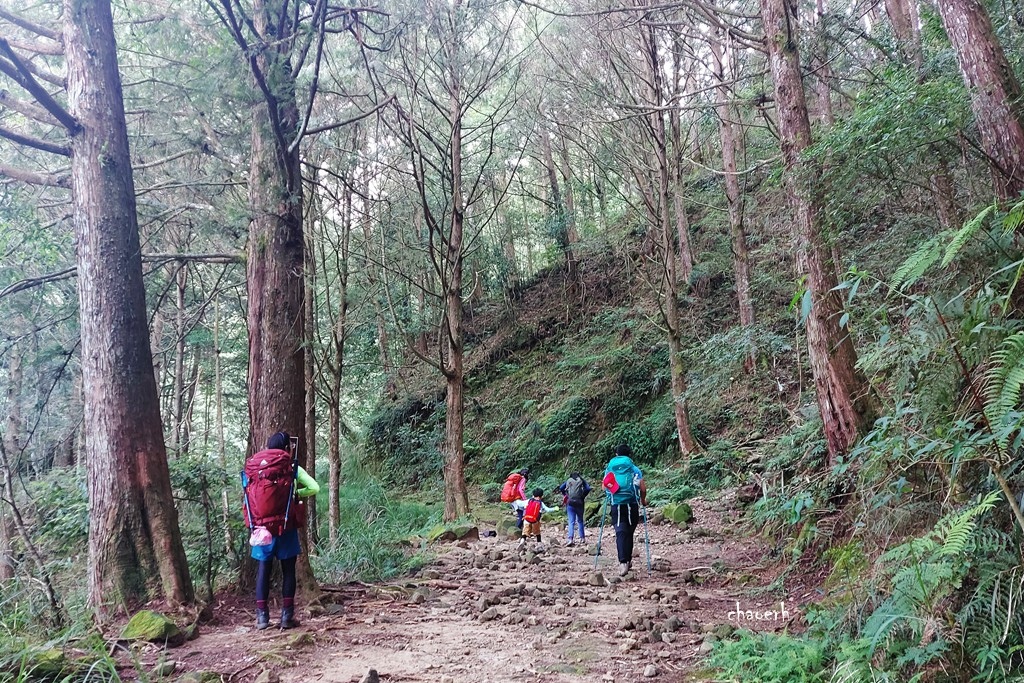 【登山 2天1夜】水漾森林➨鹿屈山➨鹿屈山前鋒  逆向O行縱