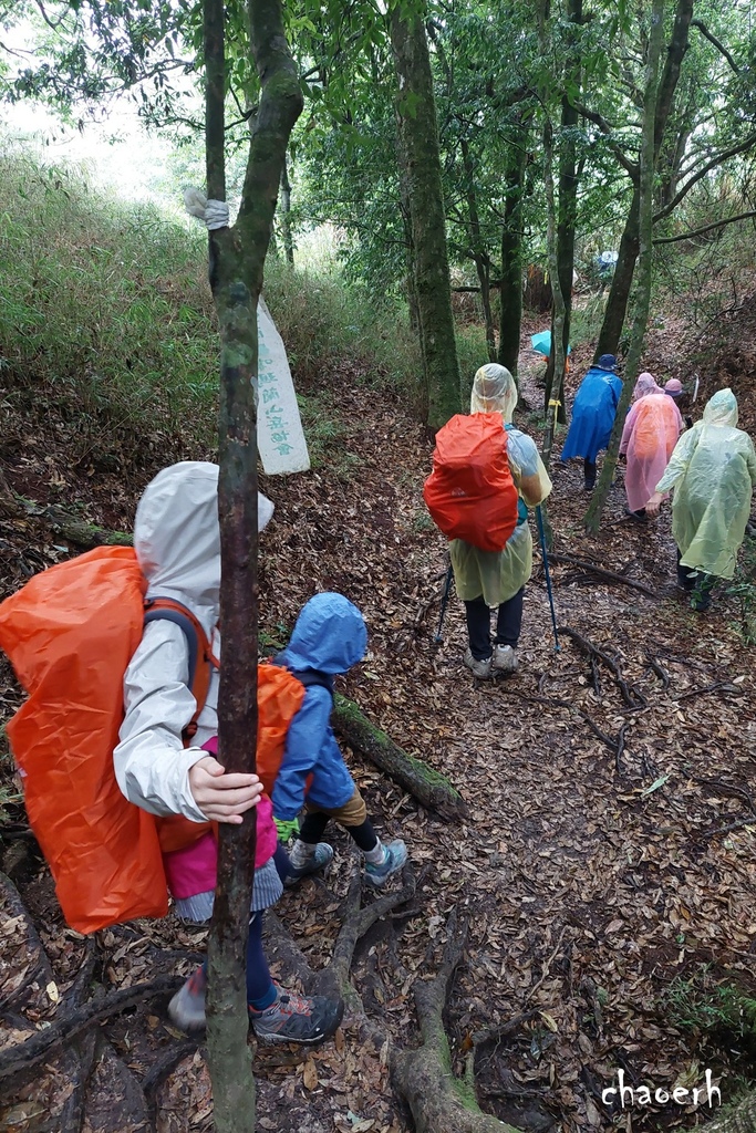 【登山 2天1夜】水漾森林➨鹿屈山➨鹿屈山前鋒  逆向O行縱