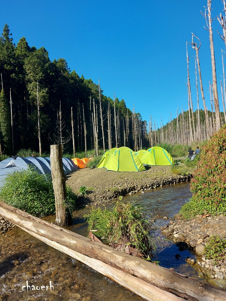 【登山 2天1夜】水漾森林➨鹿屈山➨鹿屈山前鋒  逆向O行縱