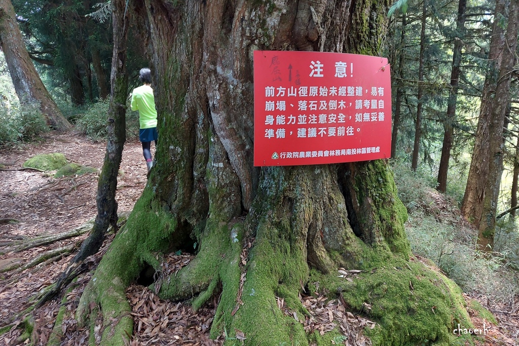 【登山 2天1夜】水漾森林➨鹿屈山➨鹿屈山前鋒  逆向O行縱