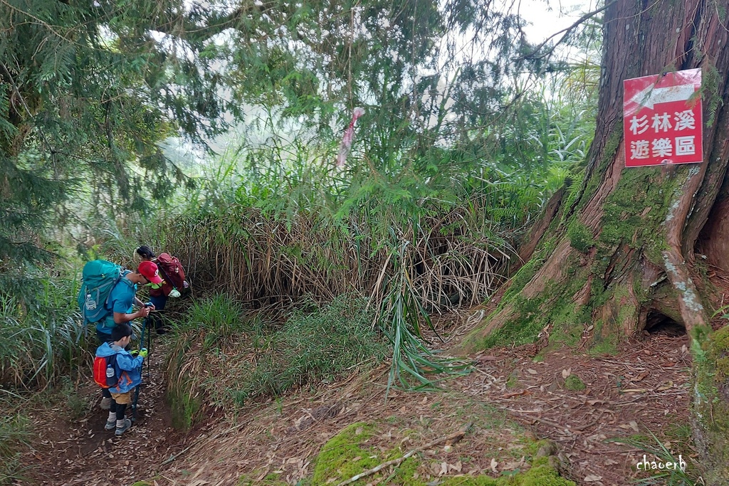 【登山 2天1夜】水漾森林➨鹿屈山➨鹿屈山前鋒  逆向O行縱