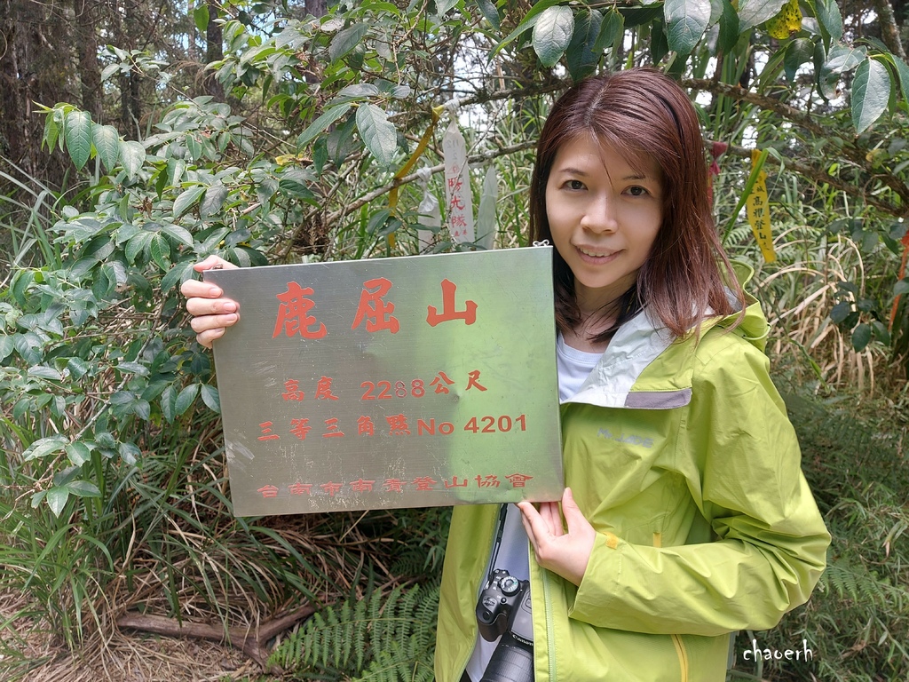 【登山 2天1夜】水漾森林➨鹿屈山➨鹿屈山前鋒  逆向O行縱