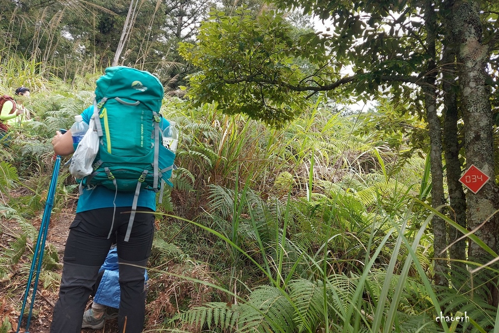 【登山 2天1夜】水漾森林➨鹿屈山➨鹿屈山前鋒  逆向O行縱