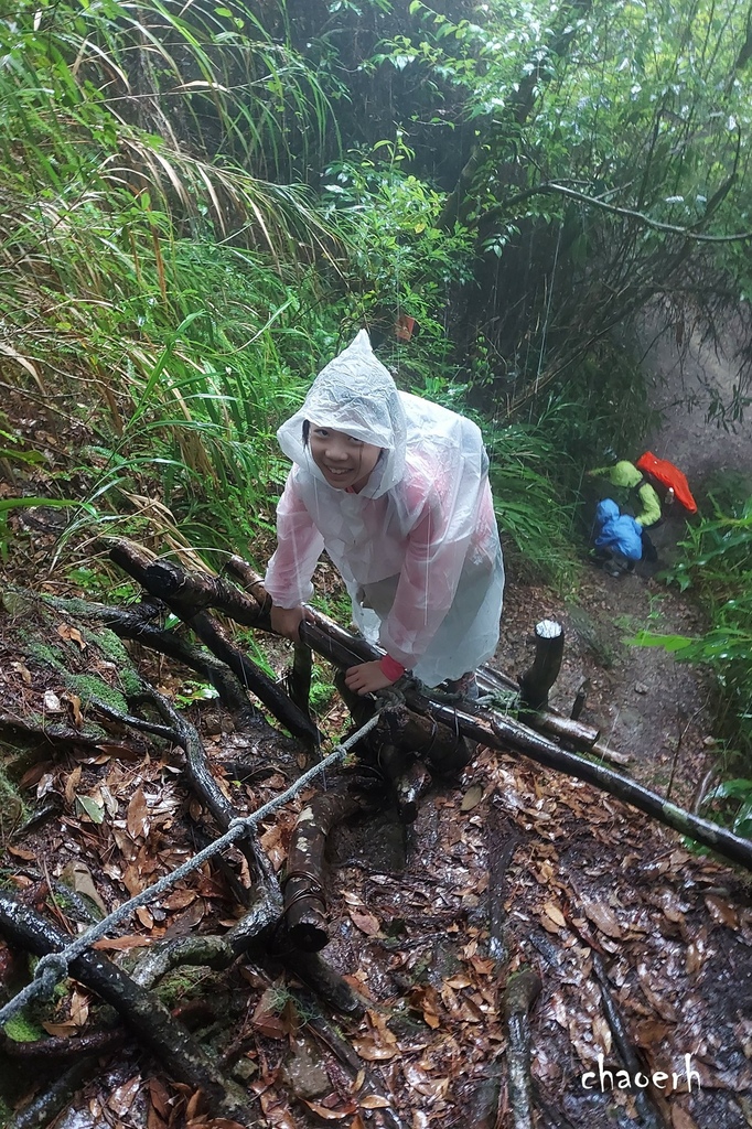 【登山 2天1夜】水漾森林➨鹿屈山➨鹿屈山前鋒  逆向O行縱