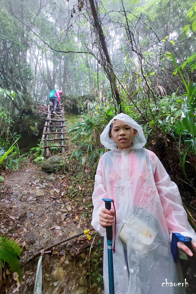 【登山 2天1夜】水漾森林➨鹿屈山➨鹿屈山前鋒  逆向O行縱