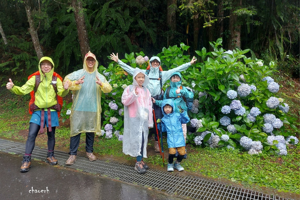 【登山 2天1夜】水漾森林➨鹿屈山➨鹿屈山前鋒  逆向O行縱