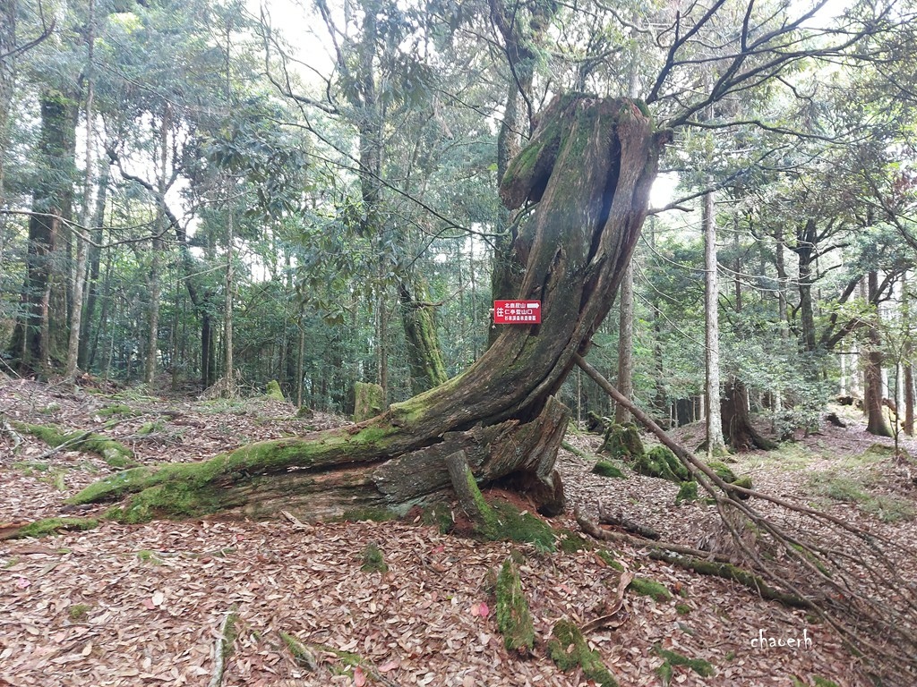 【登山 2天1夜】水漾森林➨鹿屈山➨鹿屈山前鋒  逆向O行縱