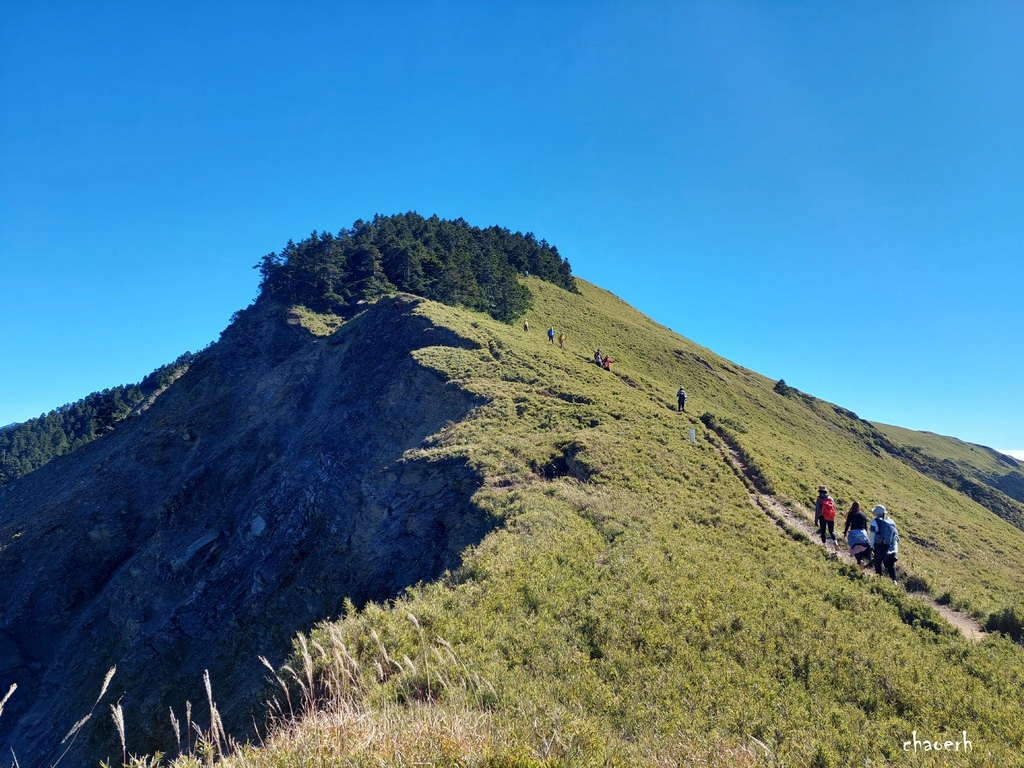 【百岳】合歡北峰~鷹石尖+北峰名樹+合歡北峰小嘉明湖 〖合歡