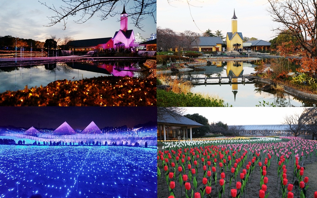 日本,三重,桑名,日本景點,名花之里,三重景點,桑名景點,燈海,長島溫泉里之湯,長島啤酒園,櫻花,楓葉,鬱金香,富士島,花園,海棠花園