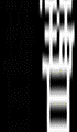 1_26.gif