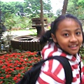 PICT1726.JPG