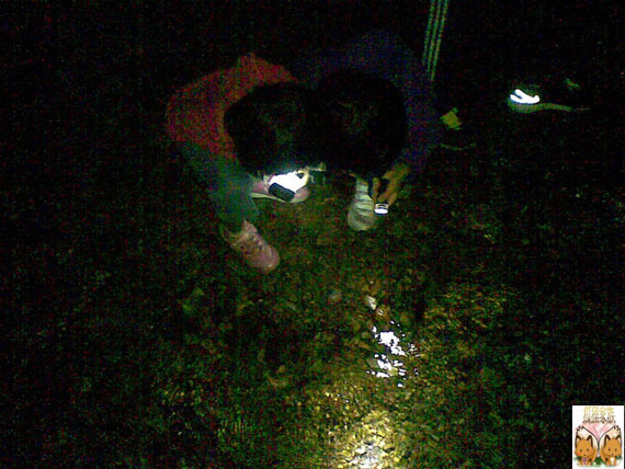 DSC03275.jpg DSC03275.jpg